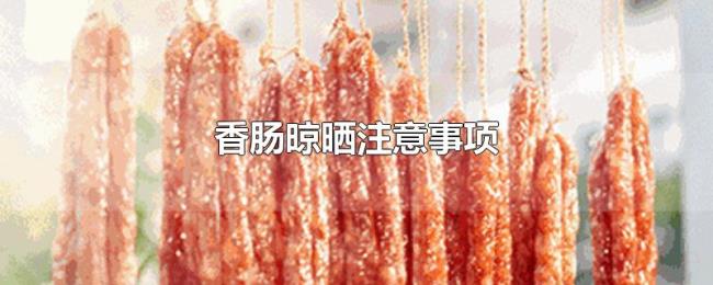 香肠晾晒注意事项 香肠晾晒注意事项