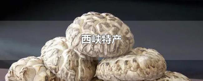 西峡特产 西峡特产