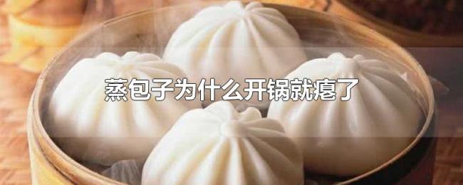 蒸包子为什么开锅就瘪了 蒸包子为什么开锅就瘪了