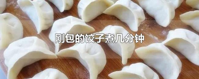 刚包的饺子煮几分钟 刚包的饺子煮几分钟