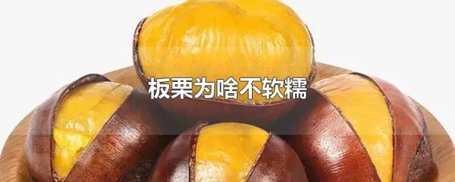 板栗为啥不软糯 板栗为啥不软糯