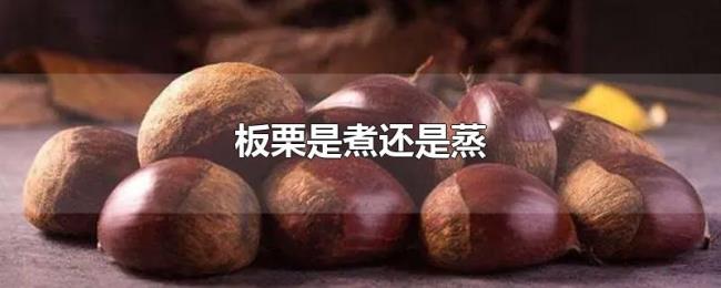 板栗是煮还是蒸 板栗是煮还是蒸