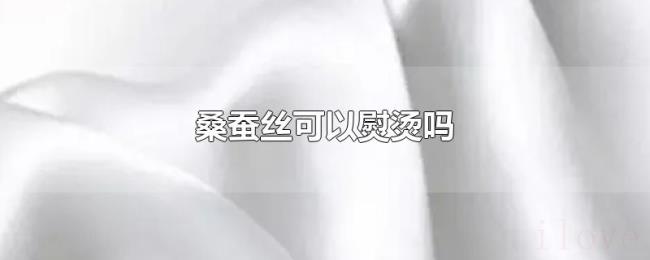 桑蚕丝可以熨烫吗