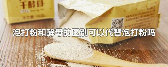 泡打粉和酵母的区别可以代替泡打粉吗