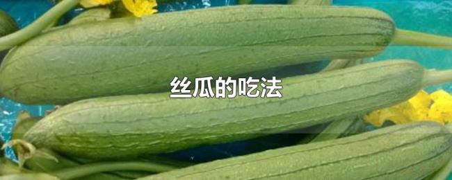 丝瓜的吃法 丝瓜的吃法