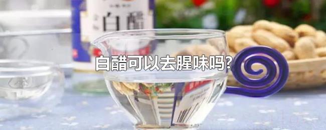 白醋可以去腥味吗?