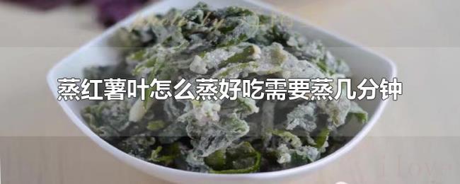 蒸红薯叶怎么蒸好吃需要蒸几分钟 蒸红薯叶怎么蒸好吃需要蒸几分钟