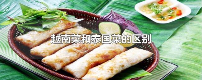 越南菜和泰国菜的区别 越南菜和泰国菜的区别