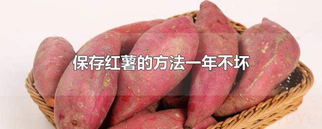 保存红薯的方法一年不坏
