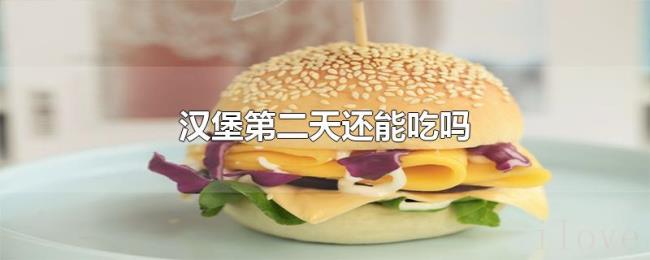 汉堡第二天还能吃吗 汉堡第二天还能吃吗