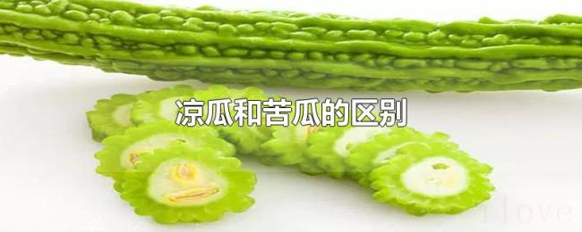 凉瓜和苦瓜的区别