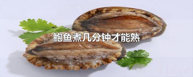 鲍鱼煮几分钟才能熟 鲍鱼煮几分钟才能熟