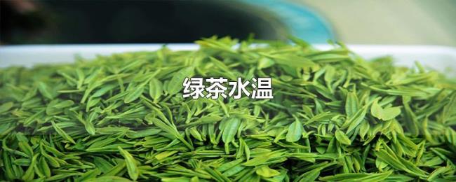 绿茶水温 绿茶水温