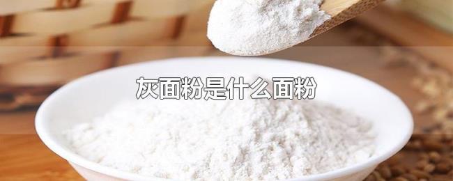 灰面粉是什么面粉