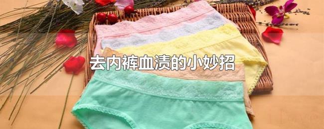 去内裤血渍的小妙招 去内裤血渍的小妙招