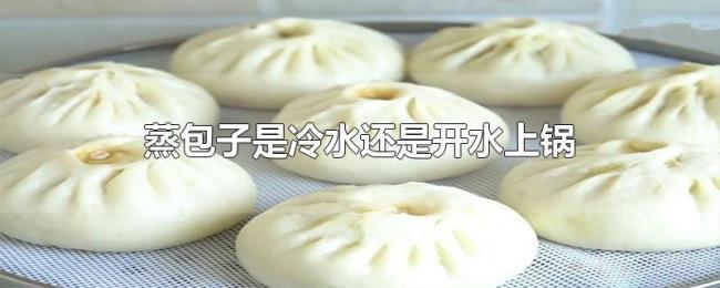 蒸包子是冷水还是开水上锅 蒸包子是冷水还是开水上锅