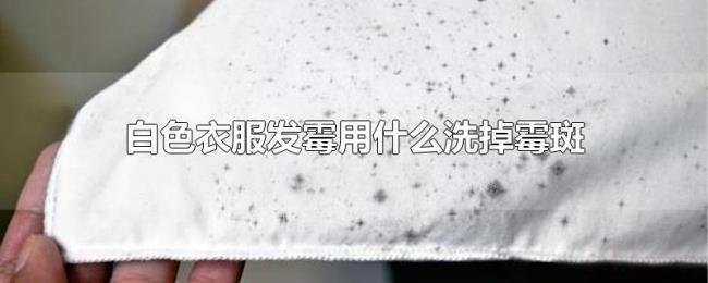 白色衣服发霉用什么洗掉霉斑 白色衣服发霉用什么洗掉霉斑