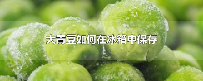 大青豆如何在冰箱中保存 大青豆如何在冰箱中保存