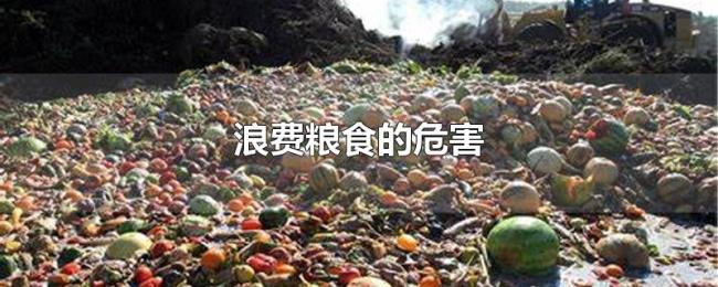 浪费粮食的危害
