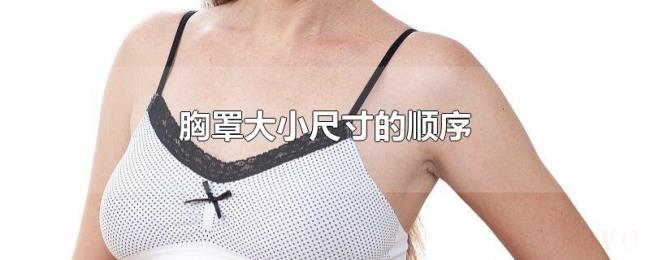 胸罩大小尺寸的顺序