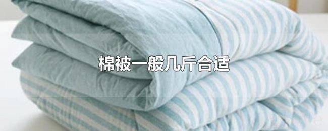 棉被一般几斤合适