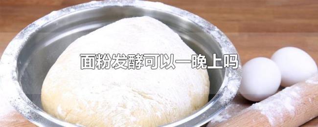 面粉发酵可以一晚上吗