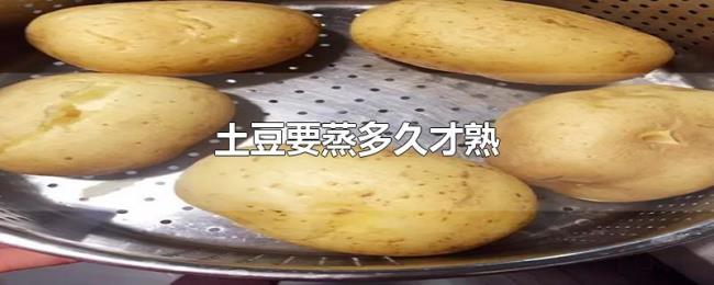 土豆要蒸多久才熟 土豆要蒸多久才熟