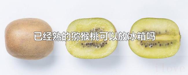 已经熟的猕猴桃可以放冰箱吗 已经熟的猕猴桃可以放冰箱吗