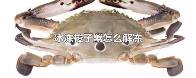 冰冻梭子蟹怎么解冻