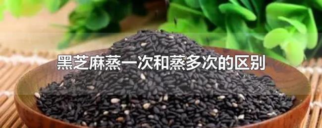 黑芝麻蒸一次和蒸多次的区别 黑芝麻蒸一次和蒸多次的区别