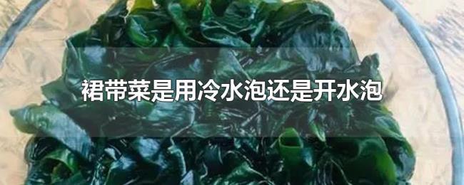 裙带菜是用冷水泡还是开水泡 裙带菜是用冷水泡还是开水泡