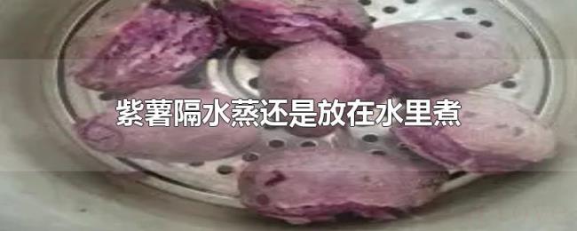 紫薯隔水蒸还是放在水里煮 紫薯隔水蒸还是放在水里煮