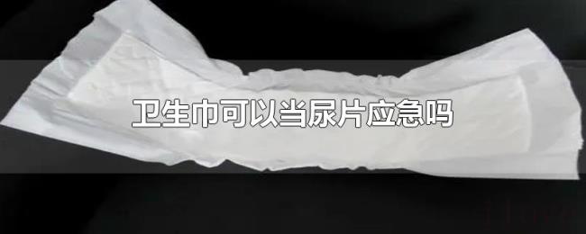 卫生巾可以当尿片应急吗