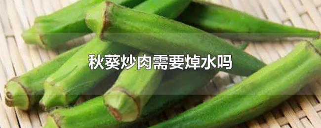 秋葵炒肉需要焯水吗 秋葵炒肉需要焯水吗
