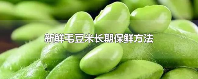 新鲜毛豆米长期保鲜方法 新鲜毛豆米长期保鲜方法
