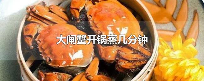 大闸蟹开锅蒸几分钟 大闸蟹开锅蒸几分钟