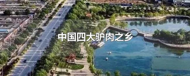 中国四大驴肉之乡