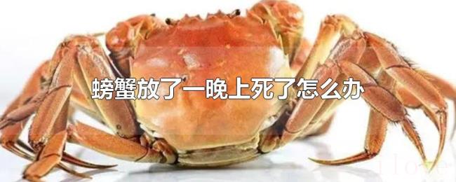 螃蟹放了一晚上死了怎么办