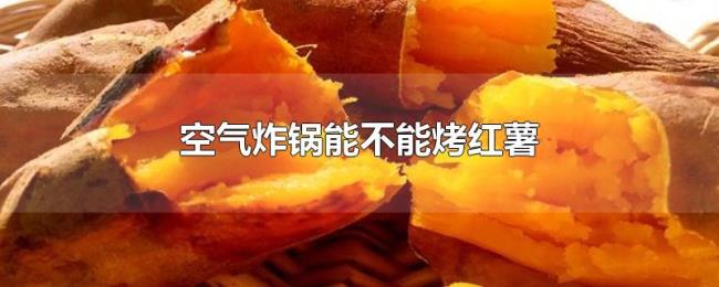 空气炸锅能不能烤红薯 空气炸锅能不能烤红薯
