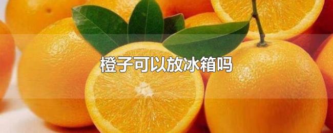 橙子可以放冰箱吗