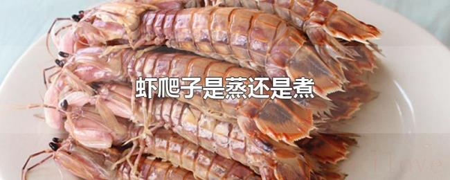 虾爬子是蒸还是煮 虾爬子是蒸还是煮