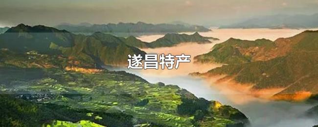 遂昌特产 遂昌特产