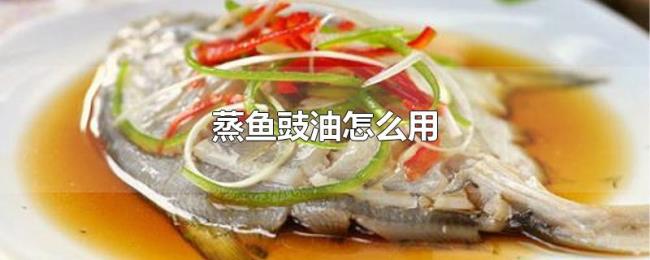 蒸鱼豉油怎么用 蒸鱼豉油怎么用