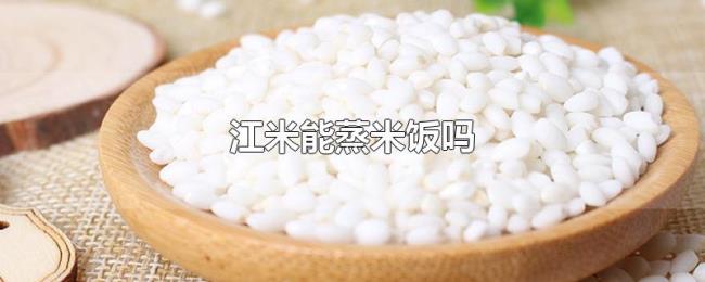 江米能蒸米饭吗