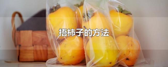 捂柿子的方法 捂柿子的方法