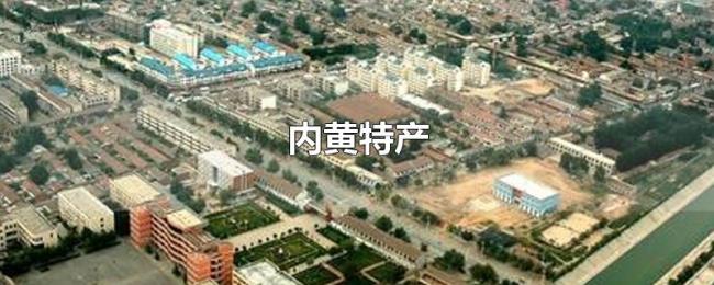 内黄特产 内黄特产