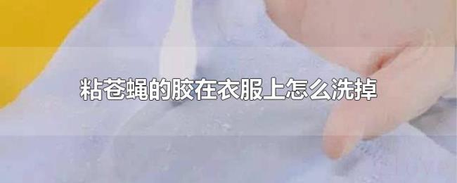粘苍蝇的胶在衣服上怎么洗掉