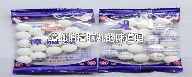 蟑螂怕樟脑丸的味道吗