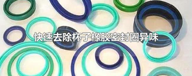 快速去除杯子橡胶密封圈异味 快速去除杯子橡胶密封圈异味