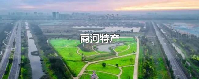 商河特产 商河特产